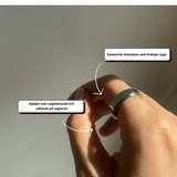 Kim rotation ring - stainless steel silver